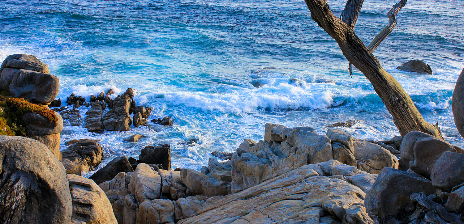 ENJOY THE BEAUTIFUL VISTAS THAT MONTEREY AND SEASIDE HAS TO OFFER