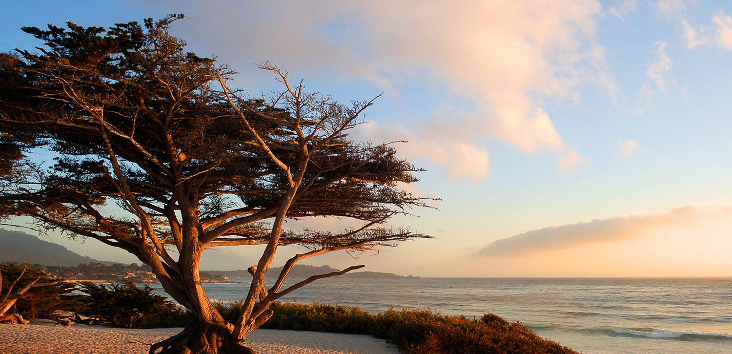 TAKE A DRIVE DOWN THE FAMED 17 MILE DRIVE