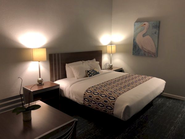 A hotel room with a king bed, two nightstands, lamps, a framed bird painting, and a patterned bed runner, carpeted floor.