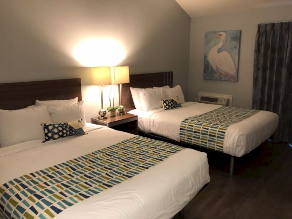 Two double beds in a hotel room with a nightstand, lamps, a framed pelican picture, and patterned bed runners.