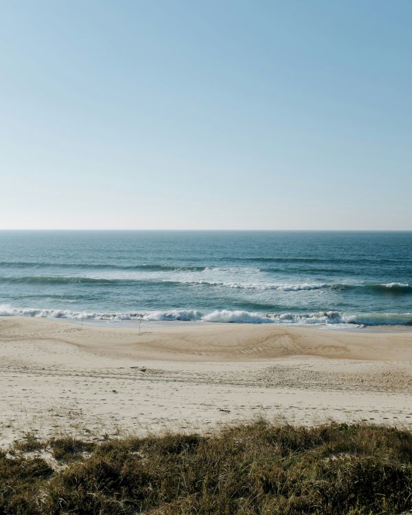 A peaceful beach scene with a clear blue sky, gentle waves rolling onto the sandy shore, and sparse dune grass in the foreground.