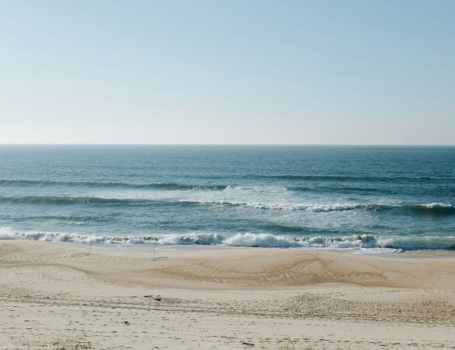 A tranquil beach scene: sandy shore, gentle waves, and a clear blue sky meeting the horizon, with some dune grasses in the foreground.