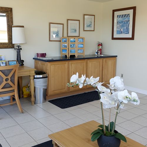 A bright, cozy living room with a sofa, chair, coffee table, and a piano; sunlight streaming in from large windows, shelves and decor add warmth.