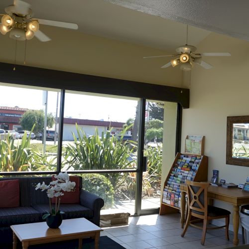 A cozy classroom or cafe with desks, windows, plants, and a whiteboard; warm light streaming in and people seated around.
