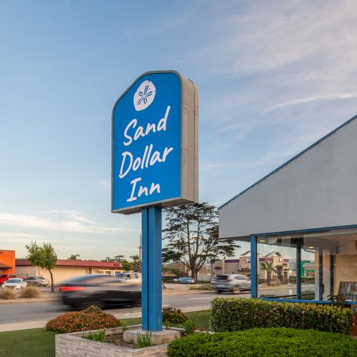 A blue Sand Dollar Inn sign beside a low, light-blue building with palm trees and a sunny parking lot.