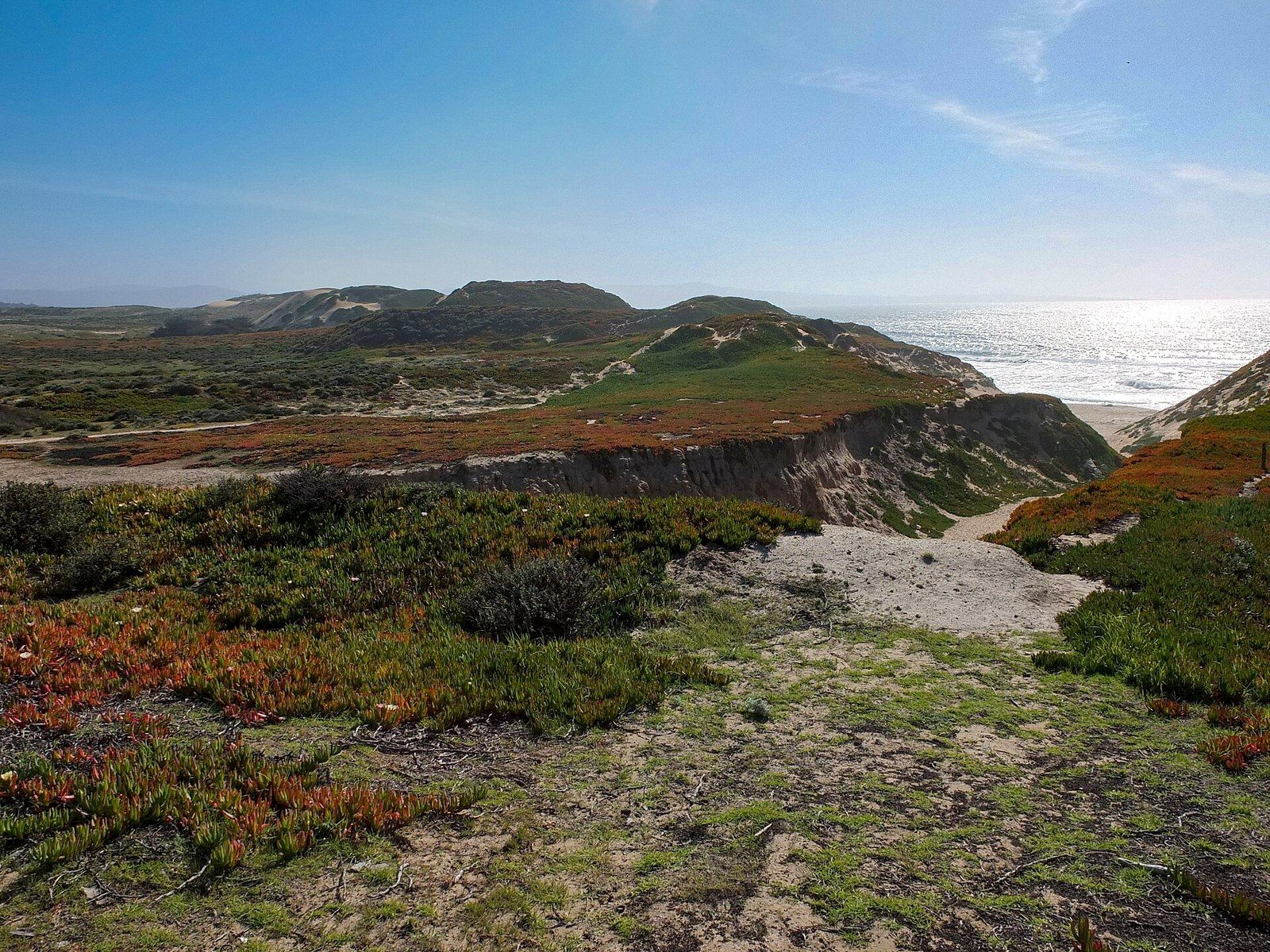 Dunes and the shoreline at Fort Ord Dunes State Park on Monterey Bay