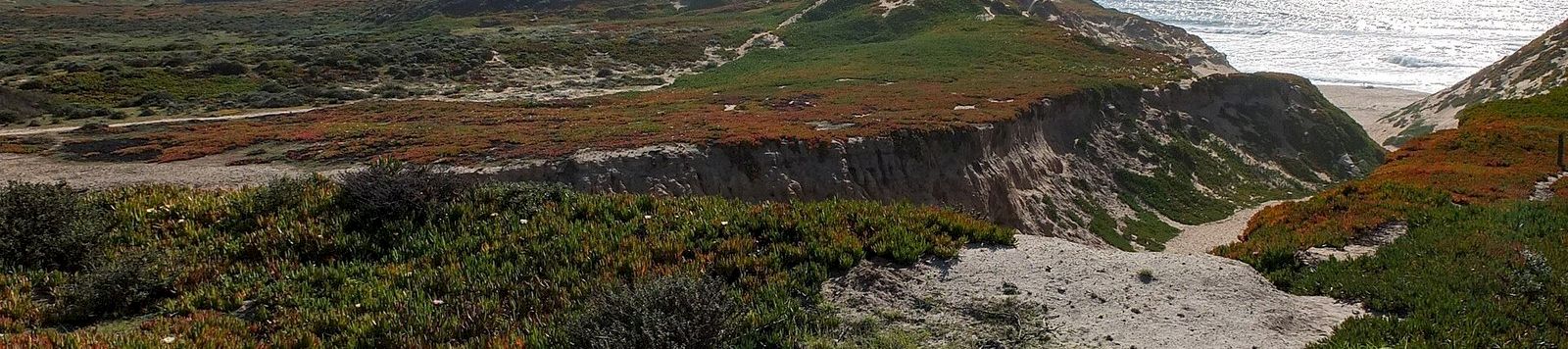 Dunes and the shoreline at Fort Ord Dunes State Park on Monterey Bay